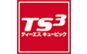 TS3